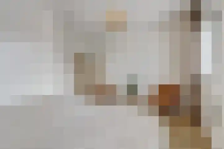 Dooleg 26 Reusel thumbnail 25