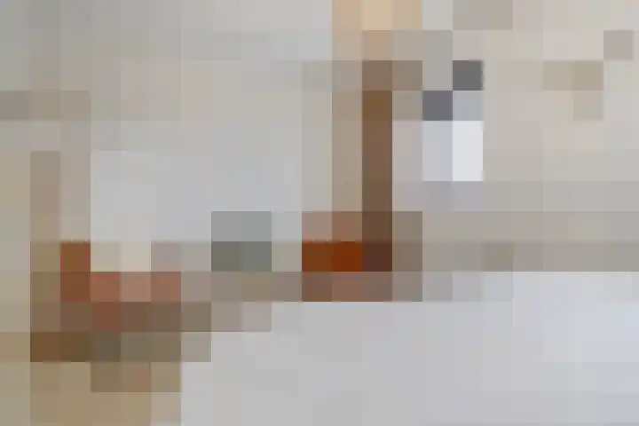 Dooleg 26 Reusel thumbnail 26