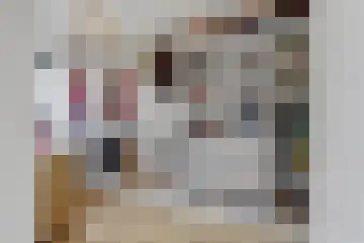 Dooleg 26 Reusel thumbnail 27
