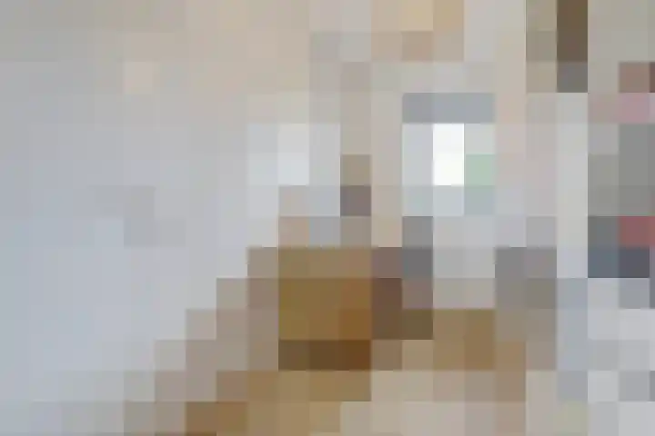 Dooleg 26 Reusel thumbnail 29