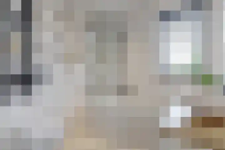 Dooleg 26 Reusel thumbnail 31