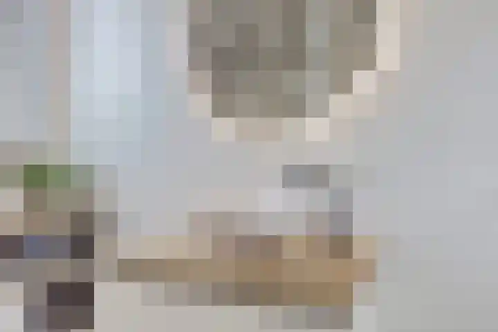 Dooleg 26 Reusel thumbnail 32