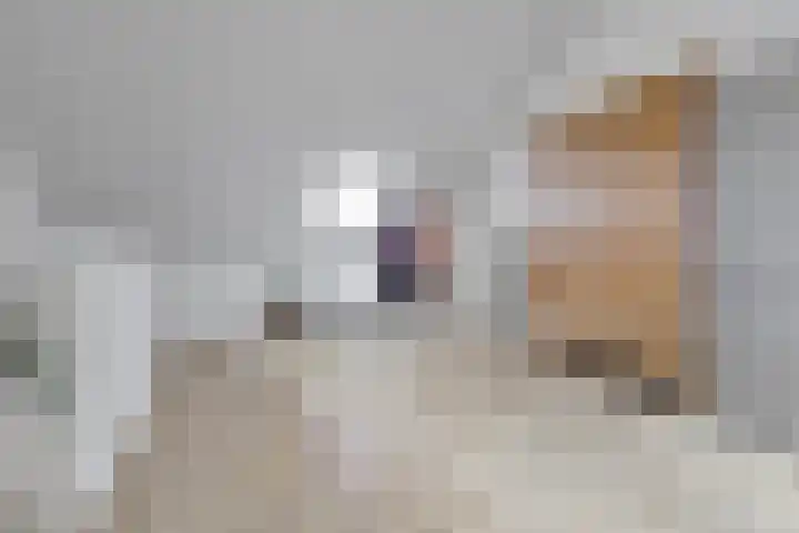 Dooleg 26 Reusel thumbnail 35