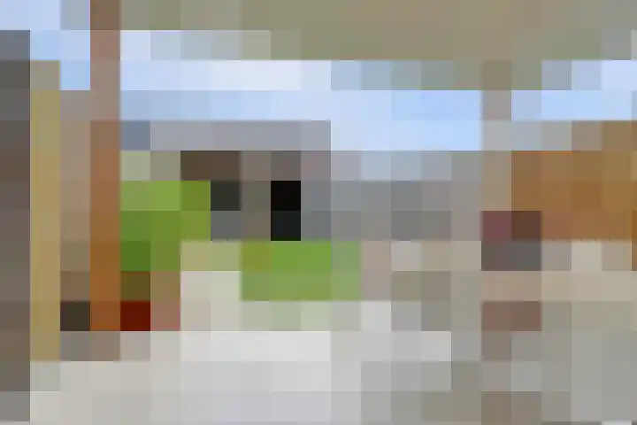 Dooleg 26 Reusel thumbnail 37