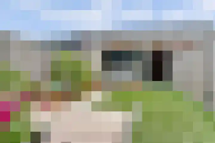 Dooleg 26 Reusel thumbnail 38