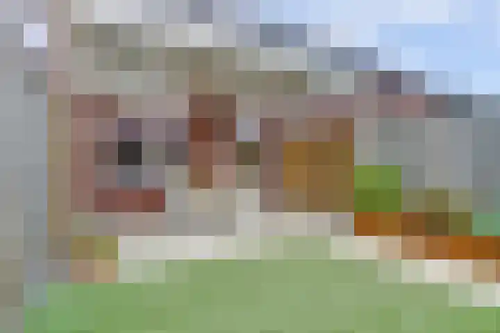 Dooleg 26 Reusel thumbnail 39