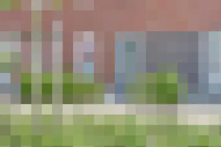 Dooleg 26 Reusel thumbnail 4