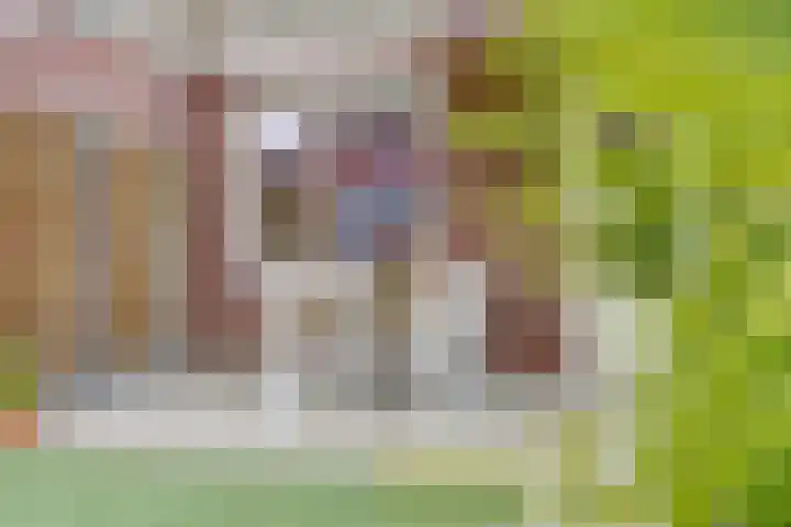 Dooleg 26 Reusel thumbnail 40