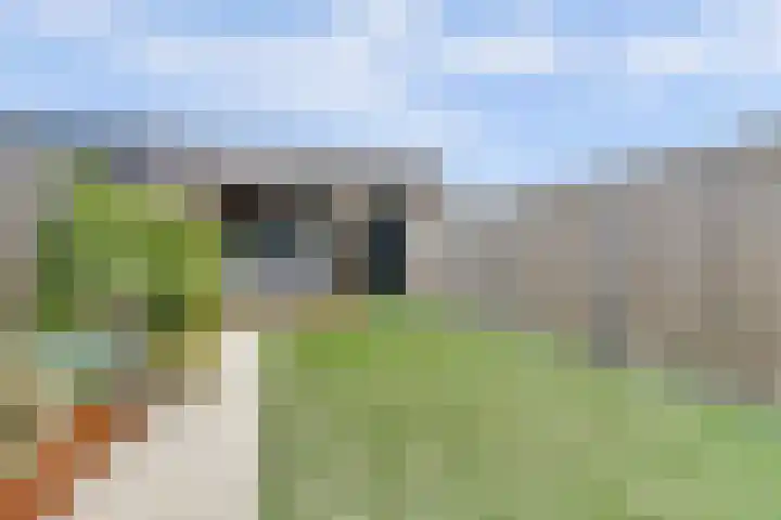 Dooleg 26 Reusel thumbnail 41