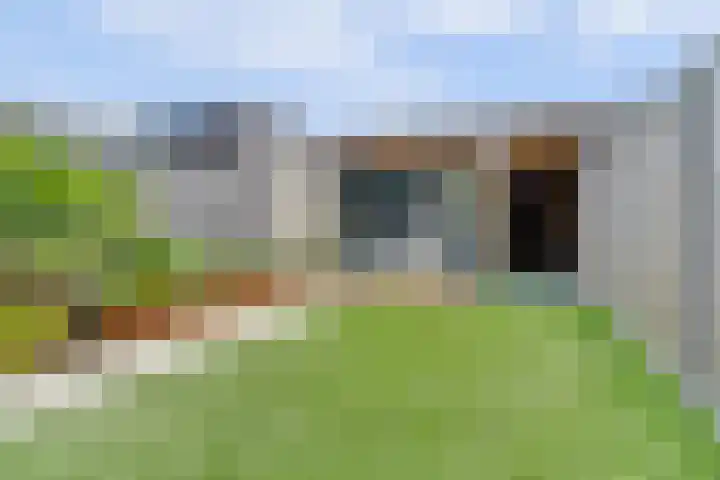 Dooleg 26 Reusel thumbnail 42