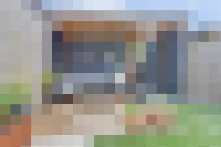 Dooleg 26 Reusel thumbnail 43