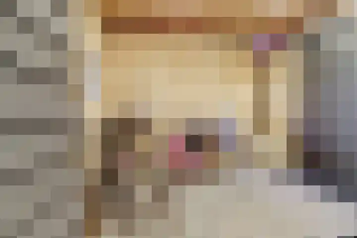 Dooleg 26 Reusel thumbnail 45