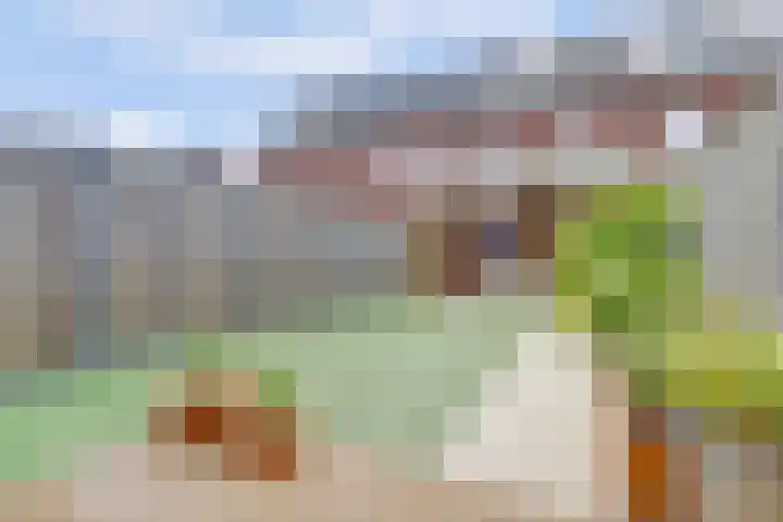 Dooleg 26 Reusel thumbnail 46