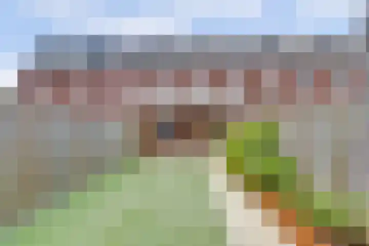 Dooleg 26 Reusel thumbnail 47
