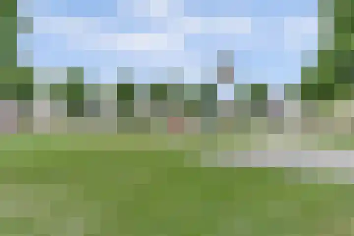 Dooleg 26 Reusel thumbnail 48