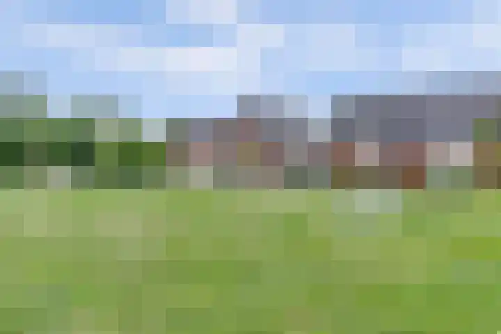 Dooleg 26 Reusel thumbnail 49