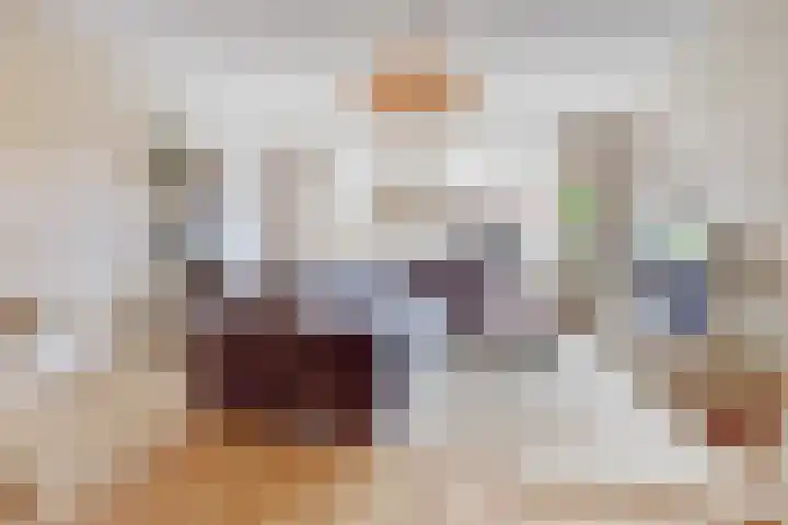 Dooleg 26 Reusel thumbnail 7