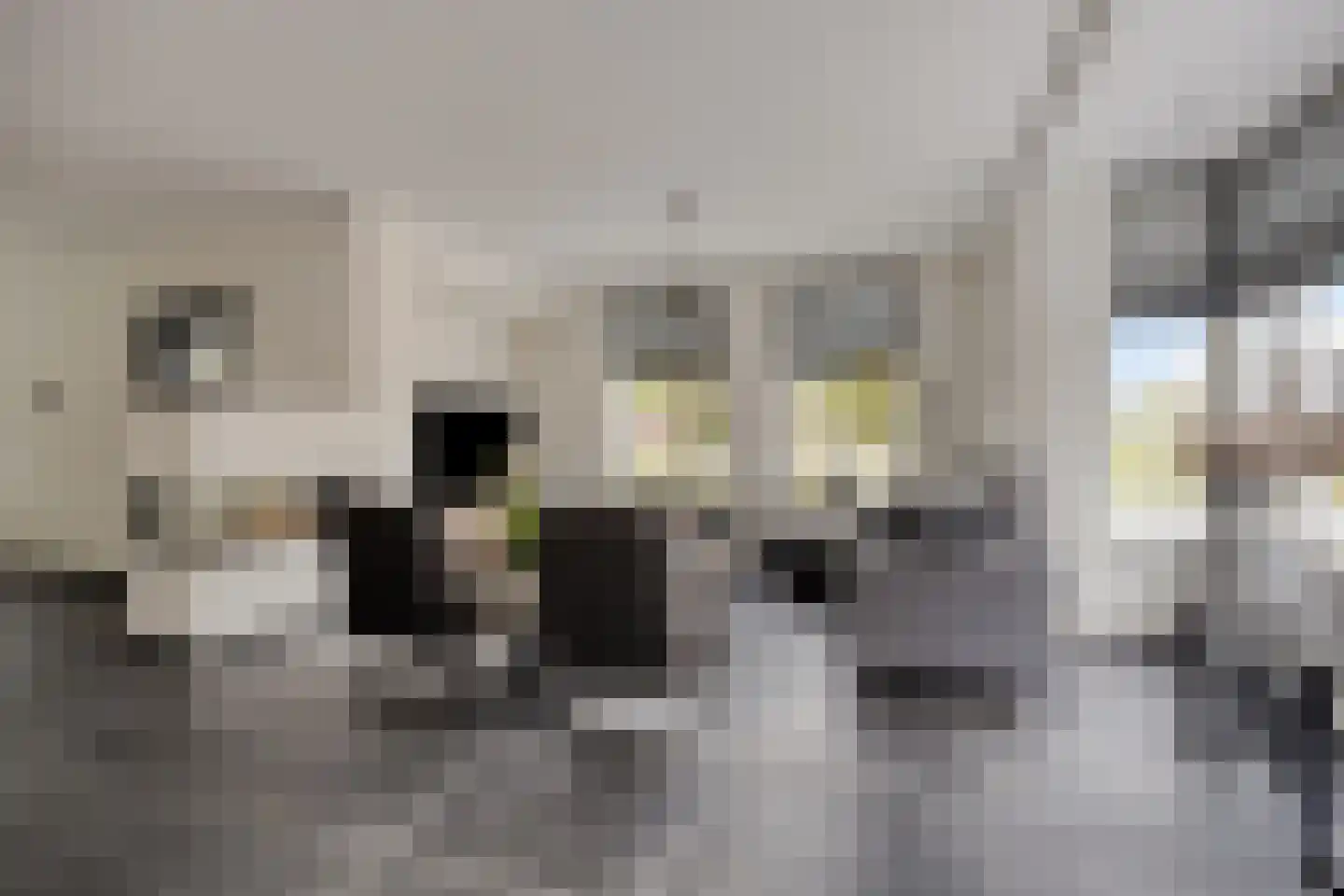 Dooleg 54 Reusel thumbnail 10