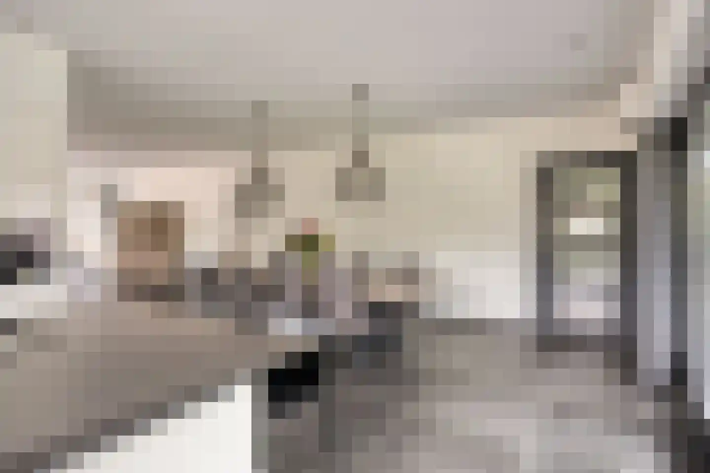 Dooleg 54 Reusel thumbnail 19