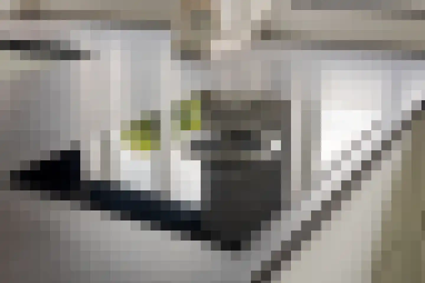 Dooleg 54 Reusel thumbnail 21
