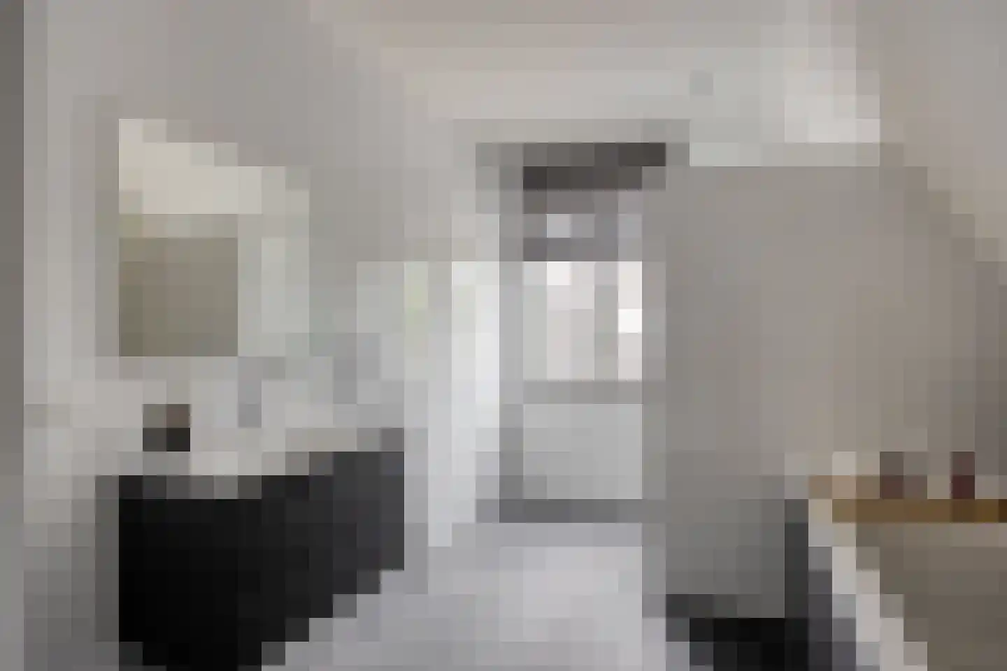 Dooleg 54 Reusel thumbnail 42