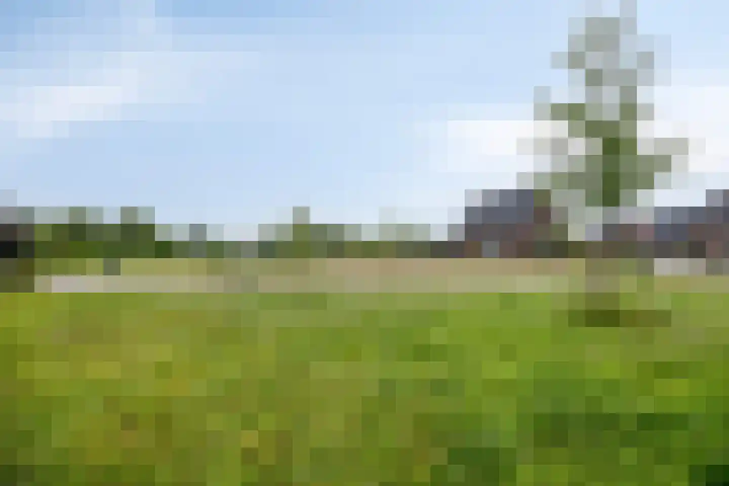 Dooleg 54 Reusel thumbnail 63