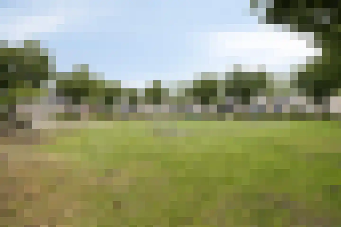 Dooleg 54 Reusel thumbnail 64
