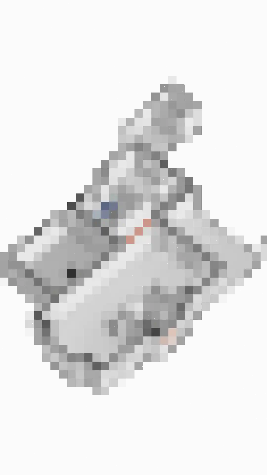 Dooleg 54 Reusel thumbnail 69