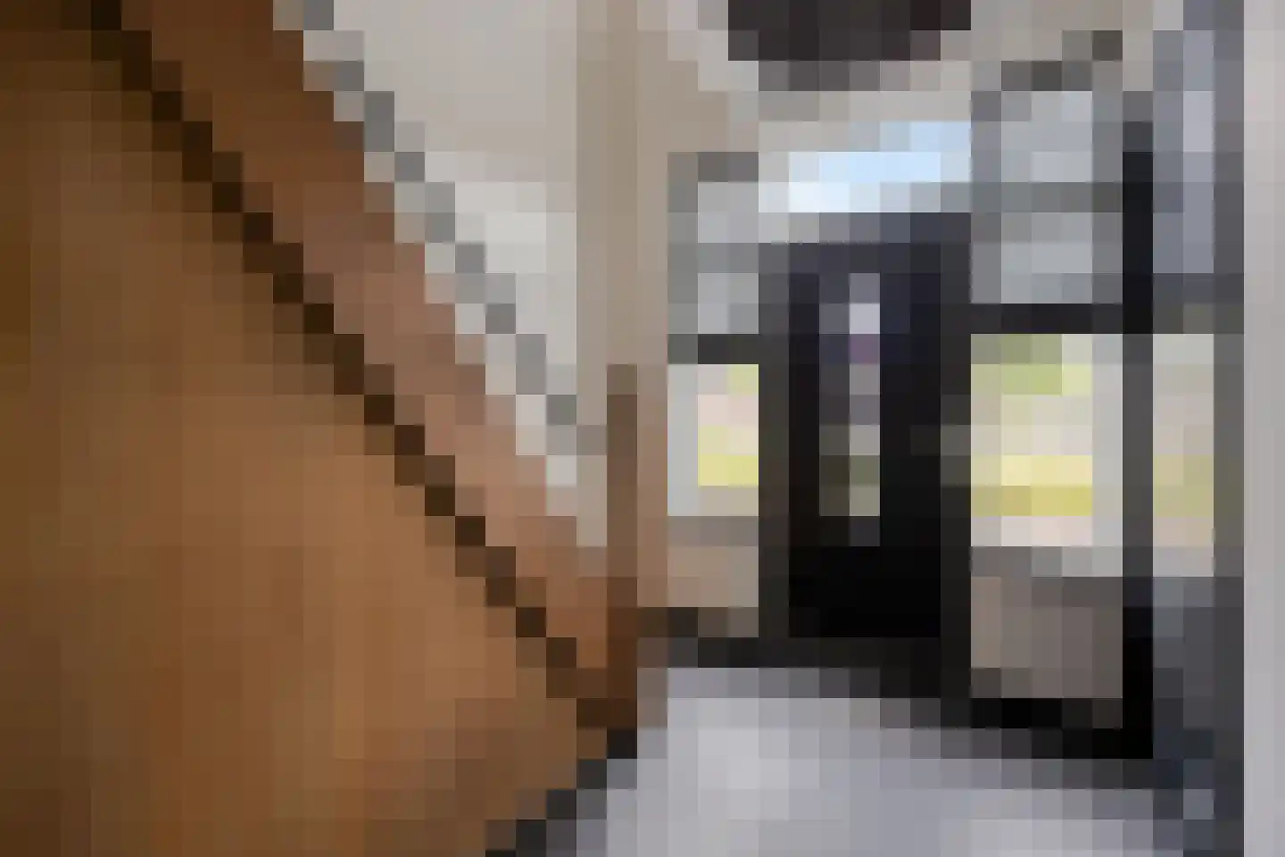 Dooleg 54 Reusel thumbnail 7