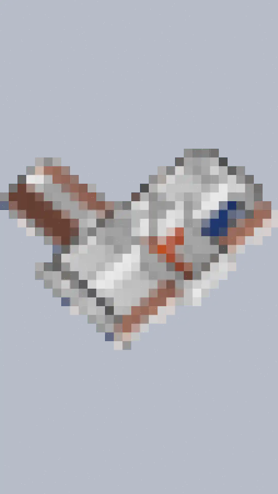 Dooleg 54 Reusel thumbnail 70