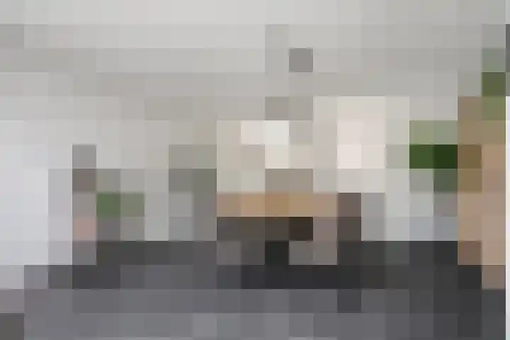 Dooleg 59 Reusel thumbnail 10