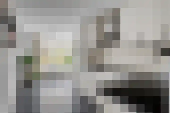 Dooleg 59 Reusel thumbnail 11