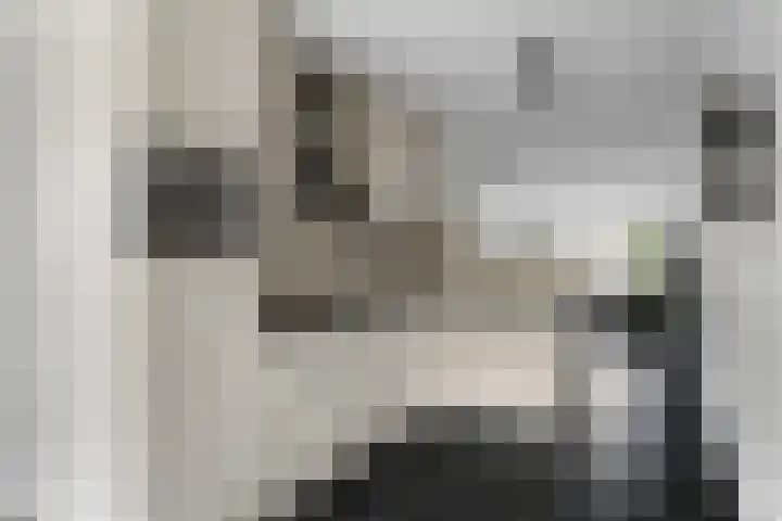 Dooleg 59 Reusel thumbnail 12