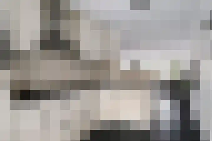 Dooleg 59 Reusel thumbnail 13
