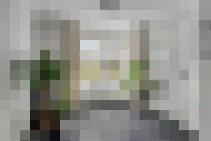 Dooleg 59 Reusel thumbnail 14