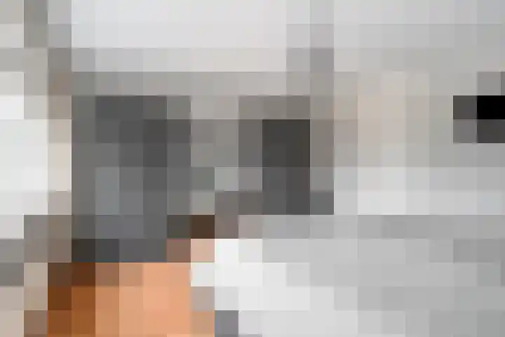 Dooleg 59 Reusel thumbnail 18