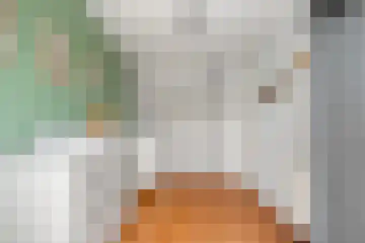 Dooleg 59 Reusel thumbnail 20