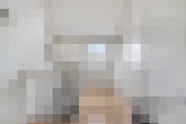 Dooleg 59 Reusel thumbnail 23