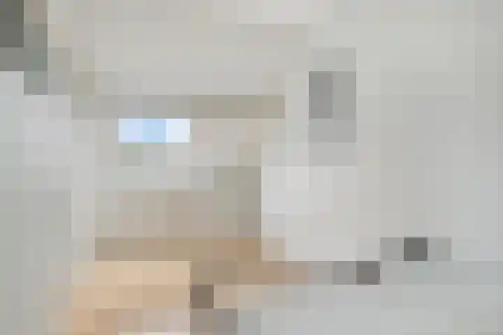 Dooleg 59 Reusel thumbnail 26