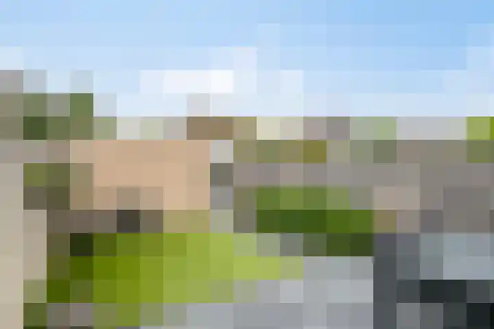 Dooleg 59 Reusel thumbnail 28