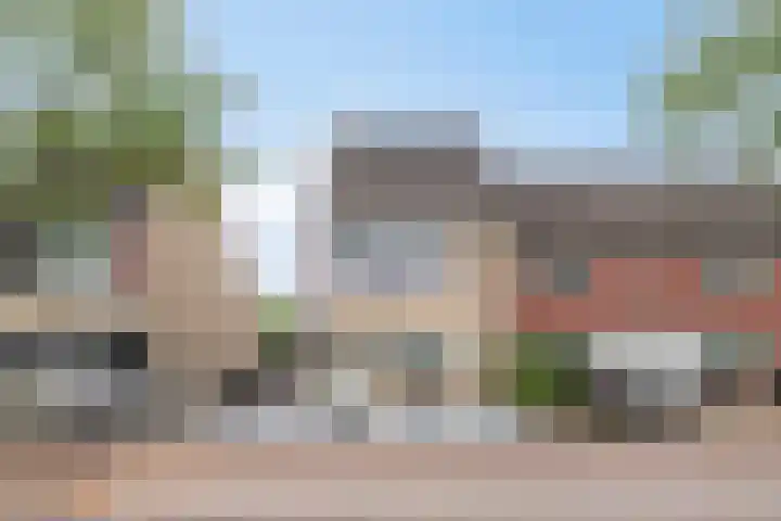 Dooleg 59 Reusel thumbnail 29