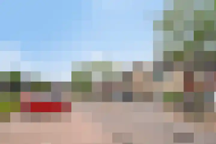 Dooleg 59 Reusel thumbnail 31