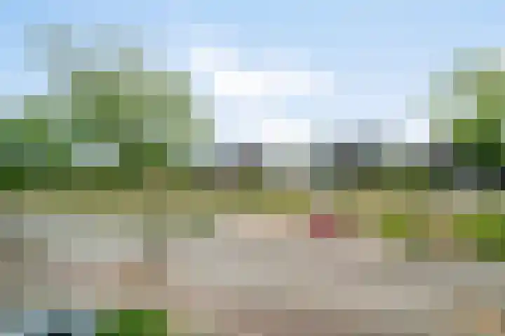 Dooleg 59 Reusel thumbnail 32
