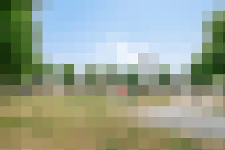 Dooleg 59 Reusel thumbnail 33