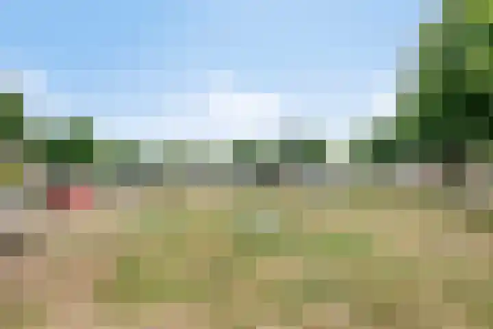 Dooleg 59 Reusel thumbnail 34