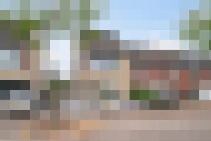 Dooleg 59 Reusel thumbnail 39