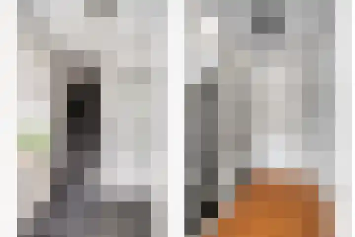 Dooleg 59 Reusel thumbnail 5
