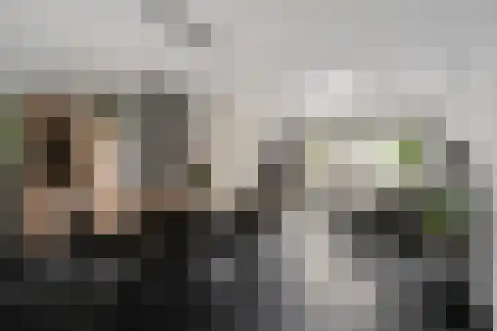 Dooleg 59 Reusel thumbnail 6