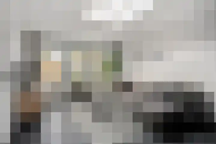 Dooleg 59 Reusel thumbnail 7