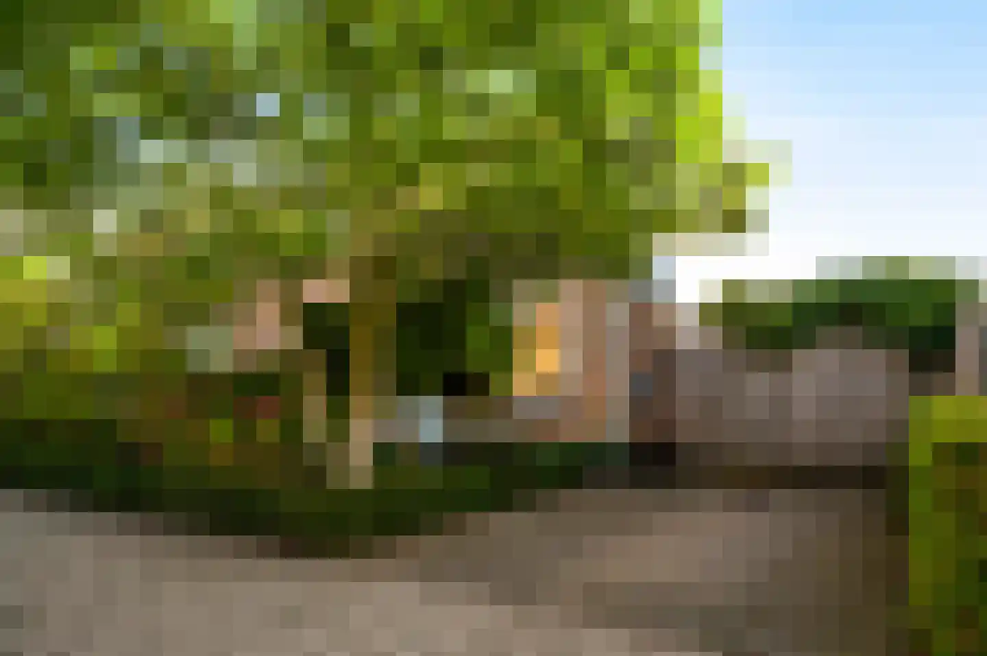 Doolgaardstraat 16 Horst thumbnail 13